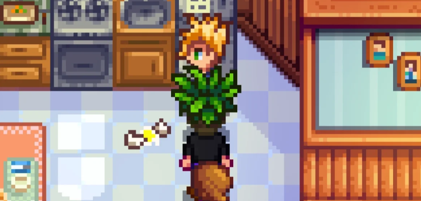 在星露谷物语中海莉和姐姐的争吵是怎么回事 在星露谷物语中海莉和姐姐的争吵是怎么回事