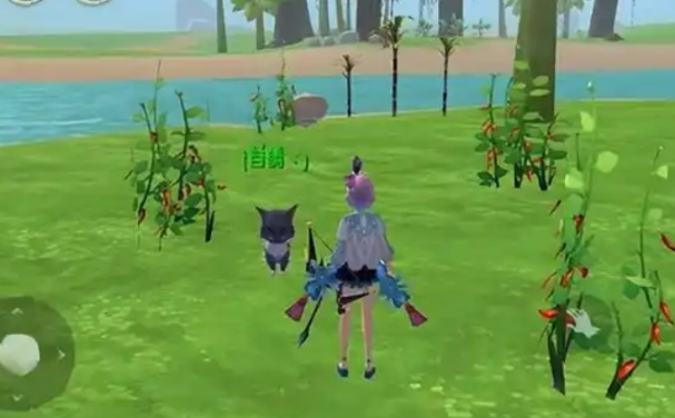 创造与魔法梦呓之卵获取的具体步骤是什么 创造与魔法梦呓之卵获取的具体步骤是什么