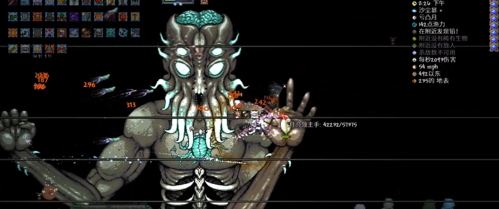 泰拉瑞亚有没有适合战斗的宠物