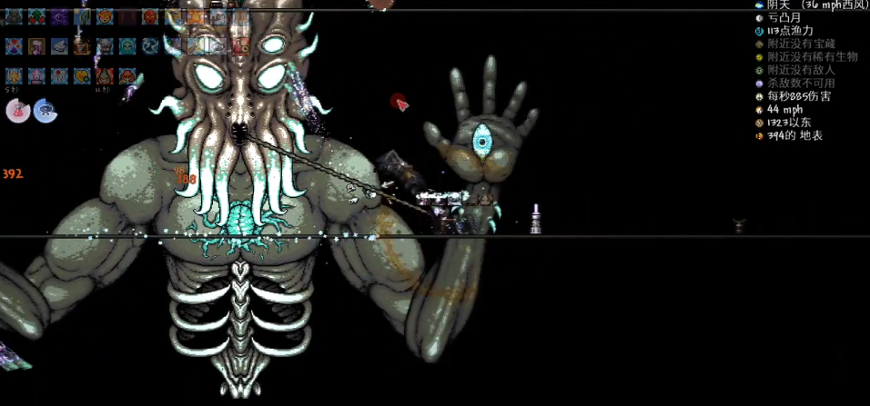 泰拉瑞亚有没有适合战斗的宠物