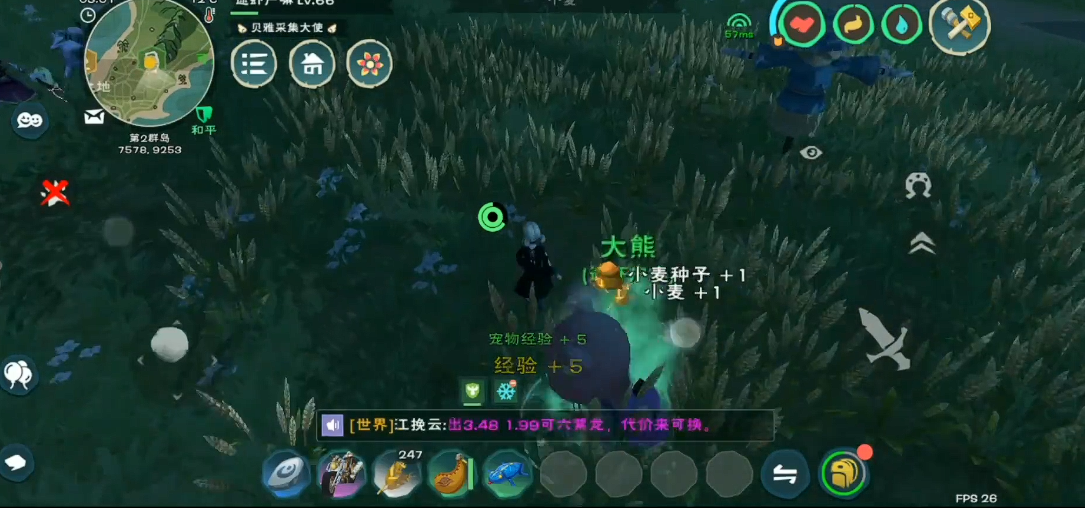 想寻找创造与魔法兔王有何路径