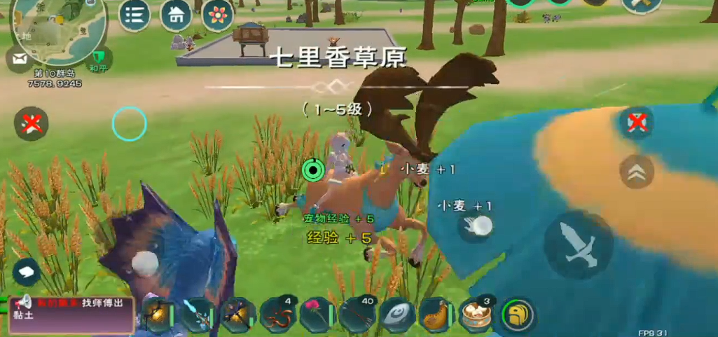 创造与魔法如何驯服具有魔法能力的鲨鱼 创造与魔法如何驯服具有魔法能力的鲨鱼