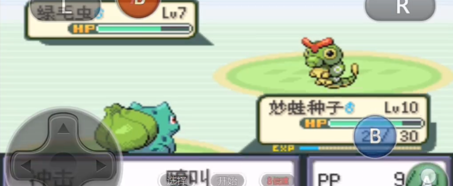 口袋妖怪火红该地区是否有与火红树果有关的神话或传说