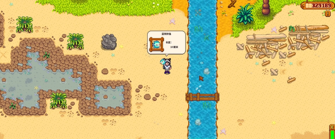 星露谷物语是否允许在他人的家里休息过夜