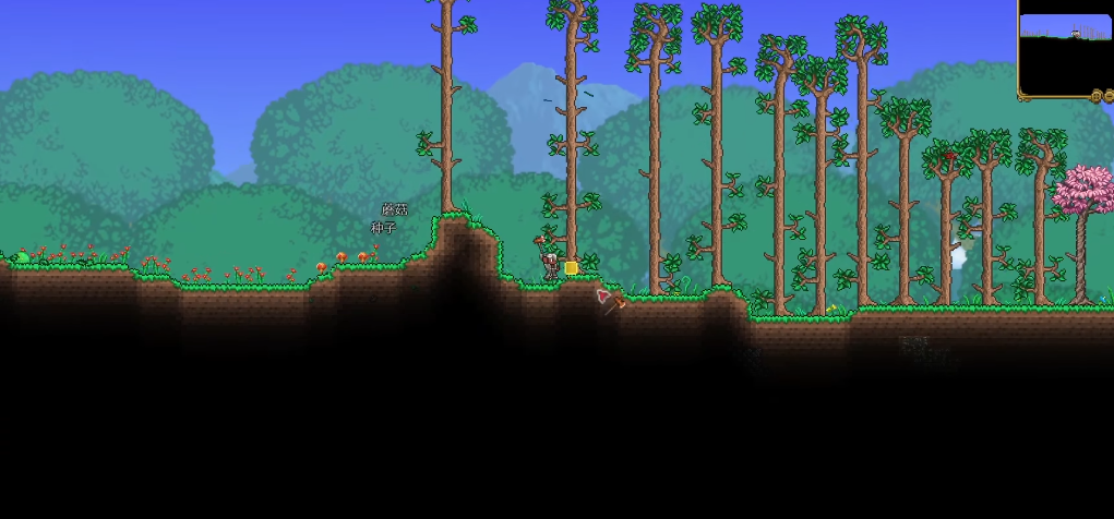 天顶剑在泰拉瑞亚中应该怎么获得