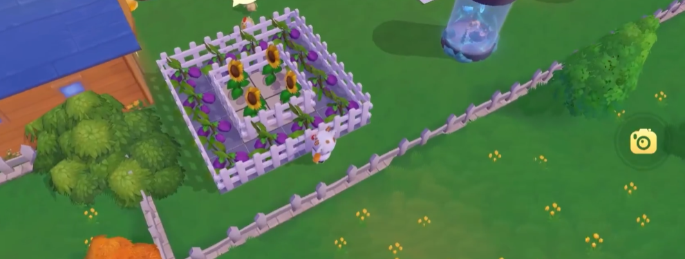 如何得到摩尔庄园中的蛞蝓丸子 如何得到摩尔庄园中的蛞蝓丸子