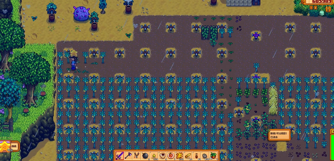 如何提高在星露谷物语谢恩的农场技能