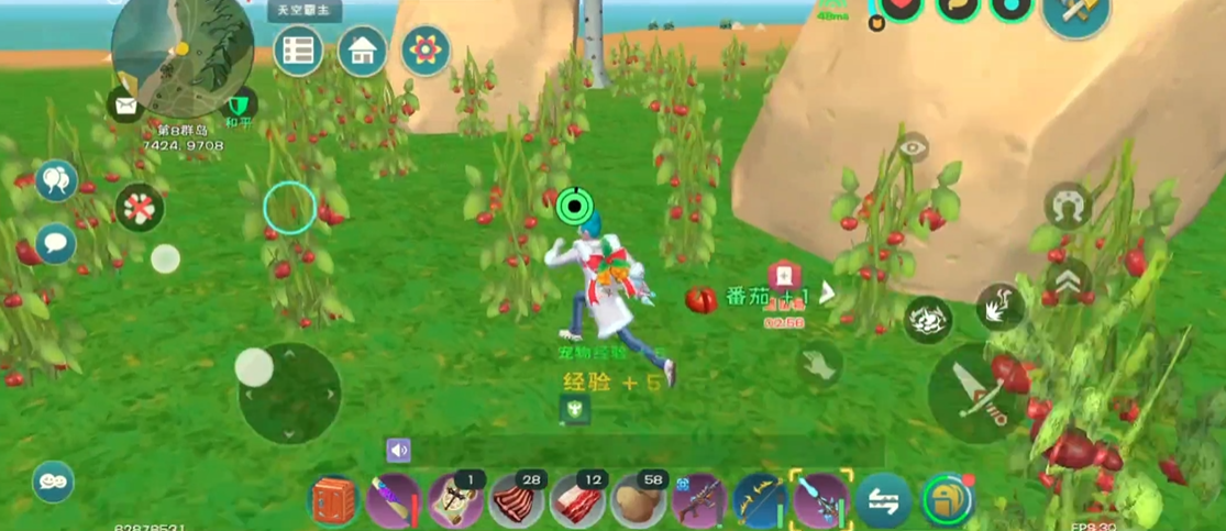 创造与魔法怎样才能找到精灵鱼