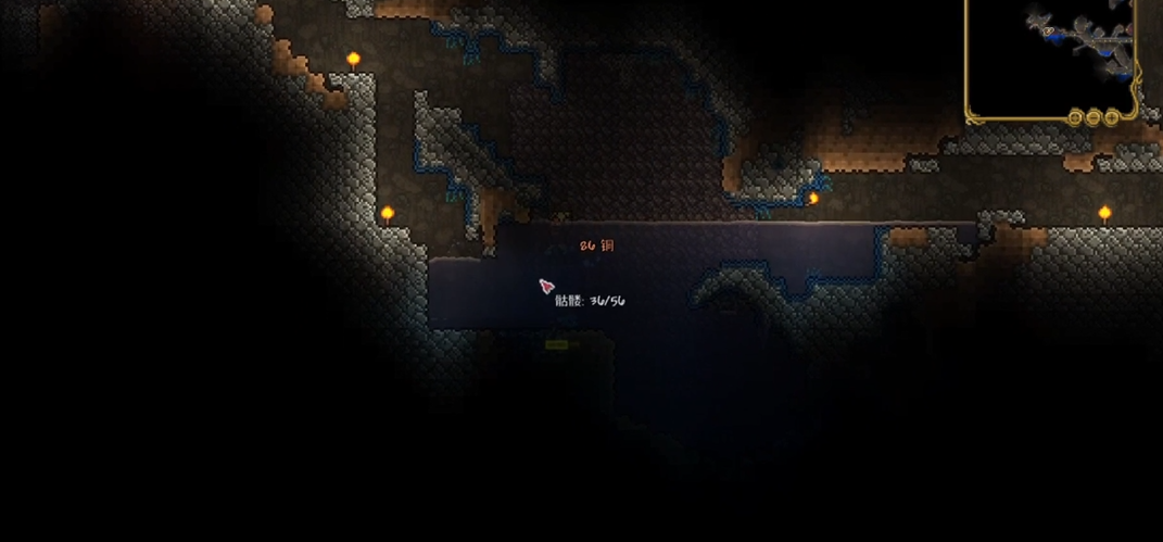 泰拉瑞亚新手选职业有什么要注意的