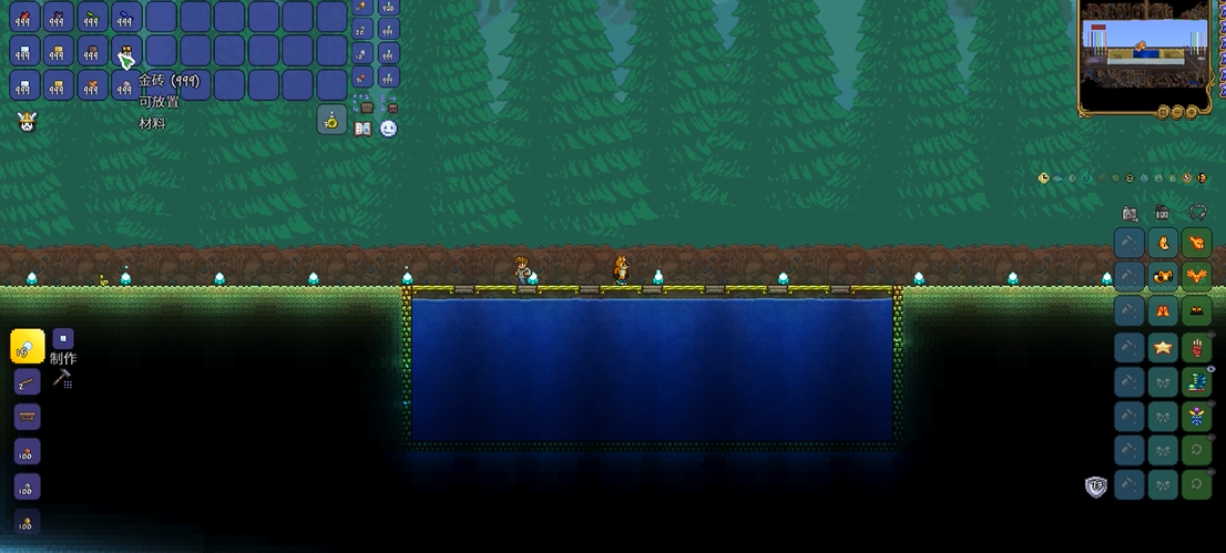 泰拉瑞亚新手选职业有什么要注意的