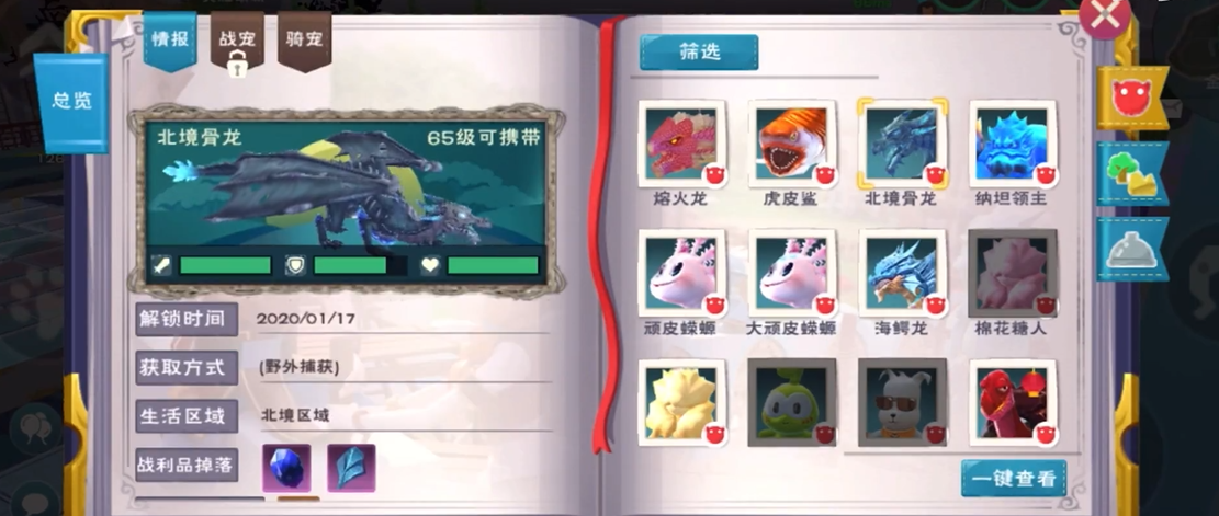 在创造与魔法中如何飞行无限