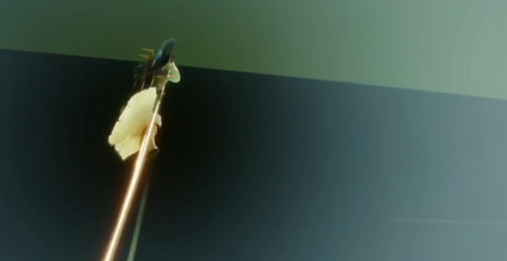 养老玩法是否能改变光遇每天跑图的单调性呢