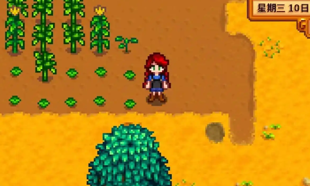 潘妮在星露谷物语中以哪种方式做菜