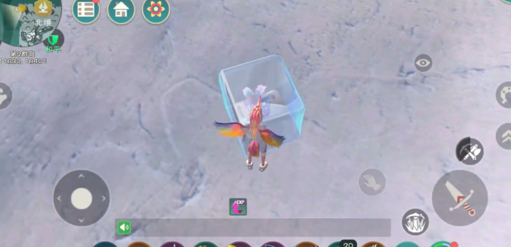 创造与魔法中是否有某种宠物血统异常浓厚