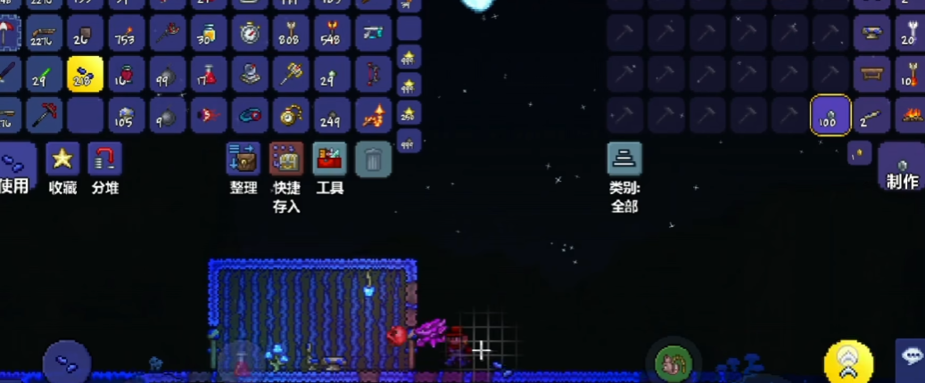 泰拉瑞亚饰品中有没有推荐的