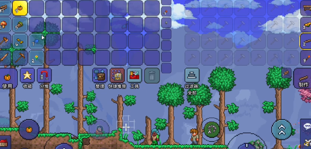 泰拉瑞亚饰品有什么特殊用途