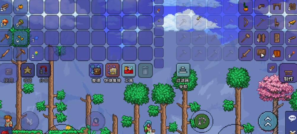 泰拉瑞亚饰品有什么特殊用途