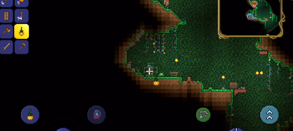 泰拉瑞亚饰品有什么特殊用途