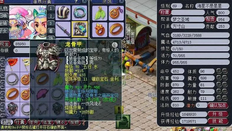 梦幻西游插旗要使用什么物品