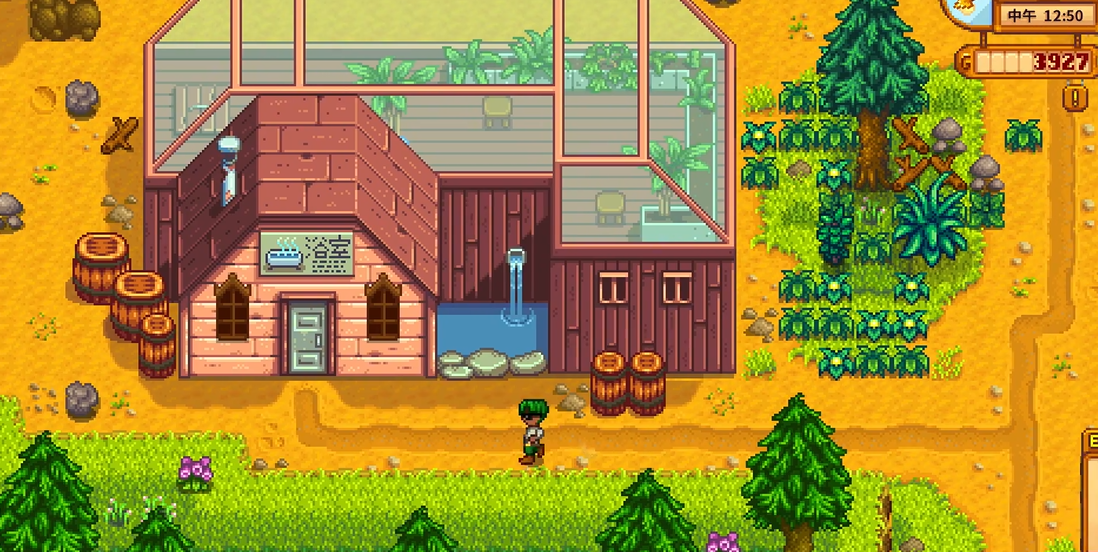 请问星露谷物语的医生喜欢什么