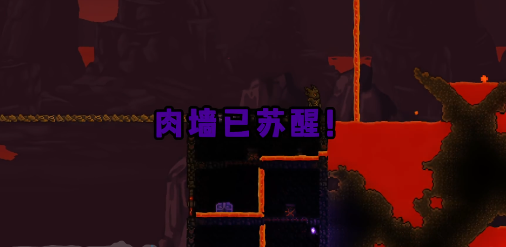 如何判断泰拉瑞亚肉山后是否正在发育