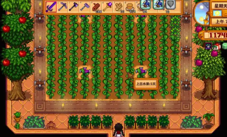 请问星露谷物语升级住房的地方在哪儿