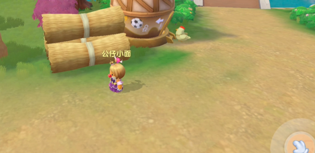 如何登上摩尔庄园的空中玫瑰楼梯