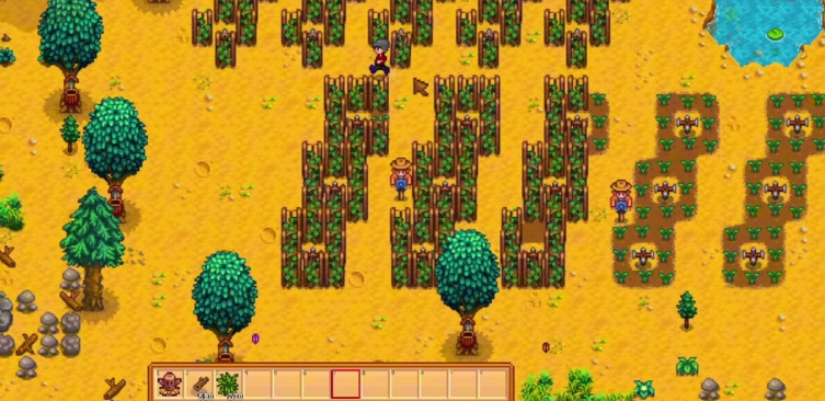 星露谷物语沙漠夜间有哪些常见问题