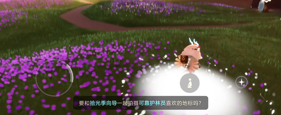 大树丛的进化步骤在光遇中是怎样的