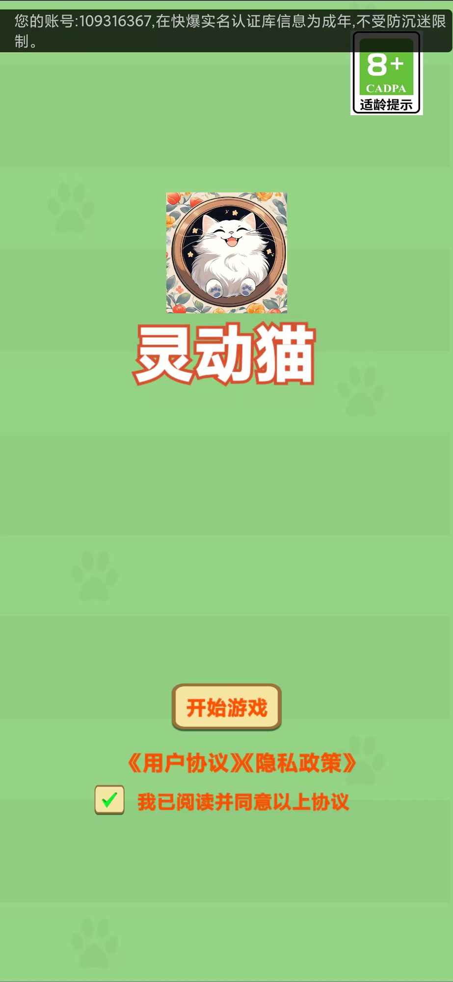 灵动猫