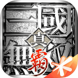 真三国无双霸