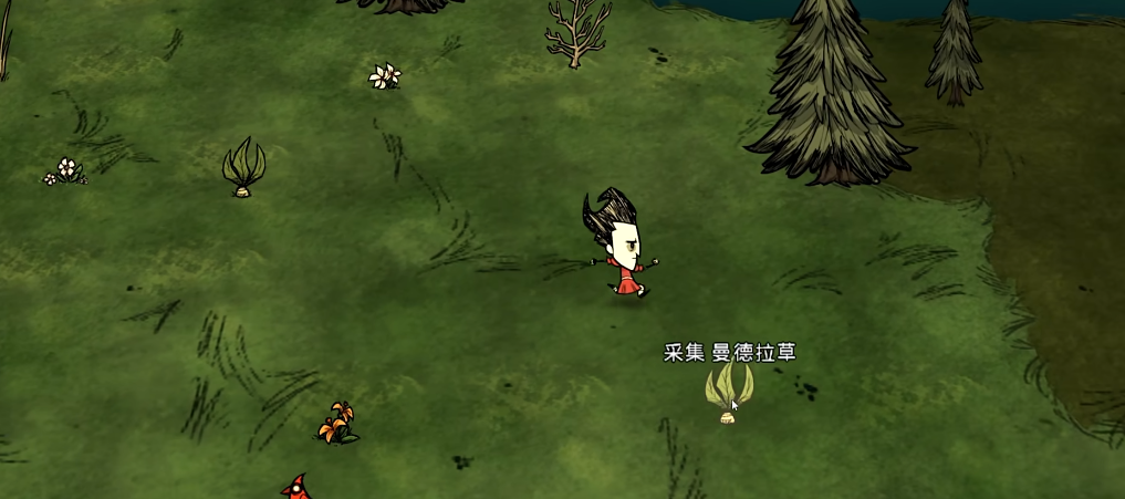 如何设计合适的饥荒新手基地布局