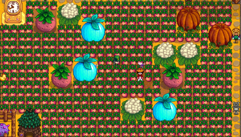 星露谷物语最好的妻子有哪些特点