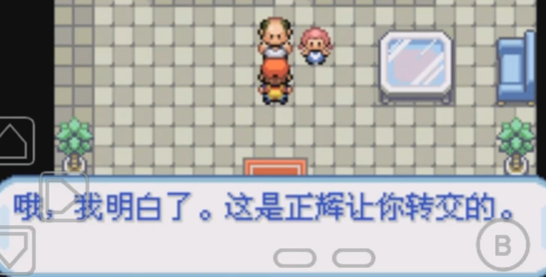 口袋妖怪火红支线任务需要注意什么