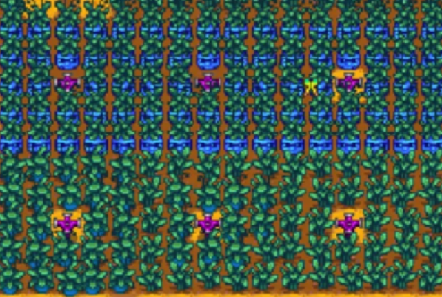 是否有星露谷物语角色会背叛伴侣