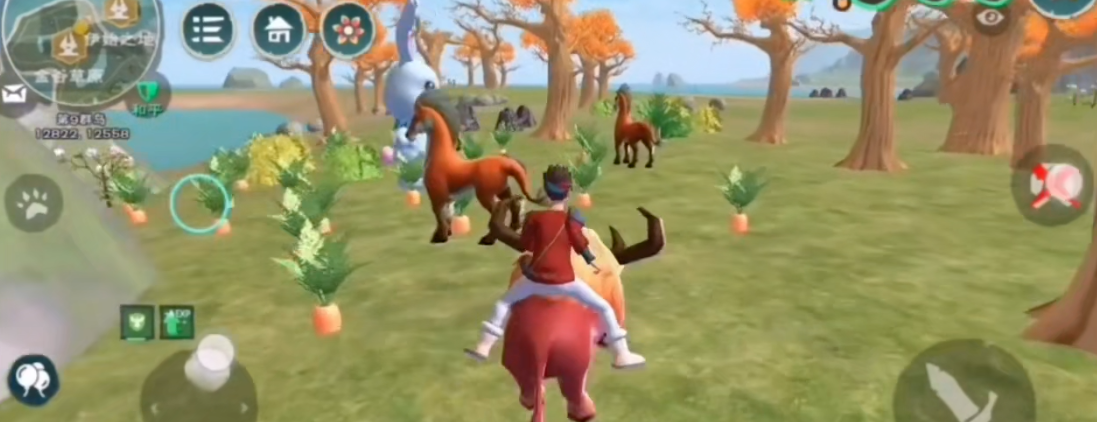 创造与魔法如何驯服具有魔法能力的鲨鱼