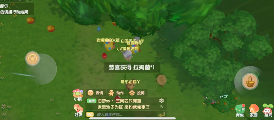 摩尔庄园邻居建筑地板可以在哪儿买到