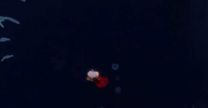 怎样才能快速直接达到光遇满级动作的目标 怎样才能快速直接达到光遇满级动作的目标