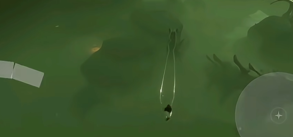 如何在光遇圣光祭中有效击败怪物