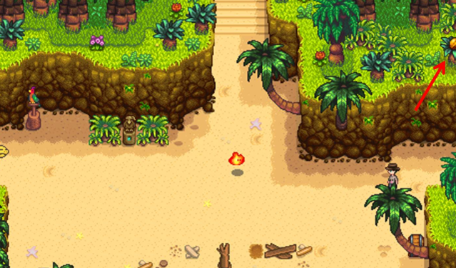 如何开始星露谷物语的老鼠肆虐任务