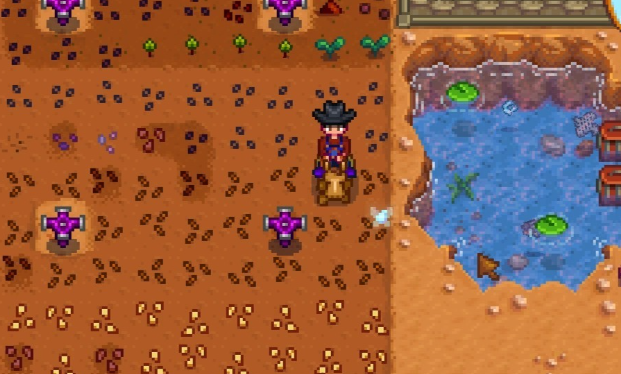 星露谷物语花舞节有哪些美食可以品尝