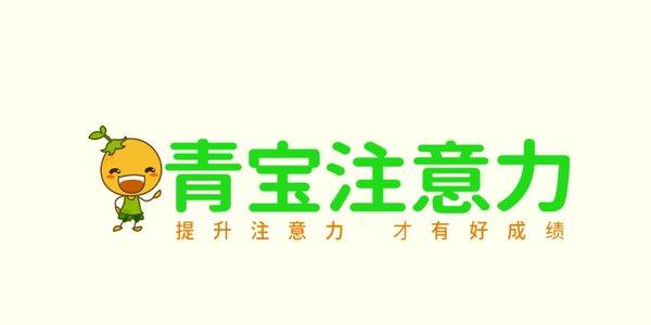 青宝注意力