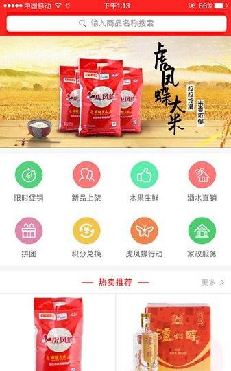 虎凤蝶