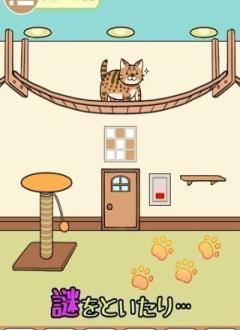 从猫小屋脱逃