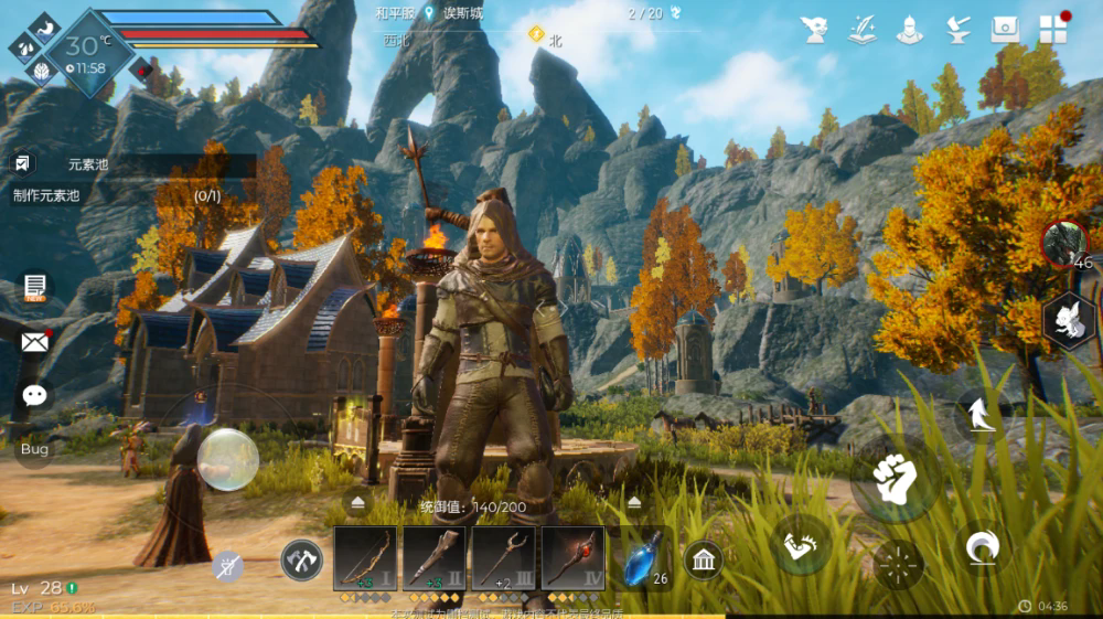 适合黑暗与光明的宠物有哪些