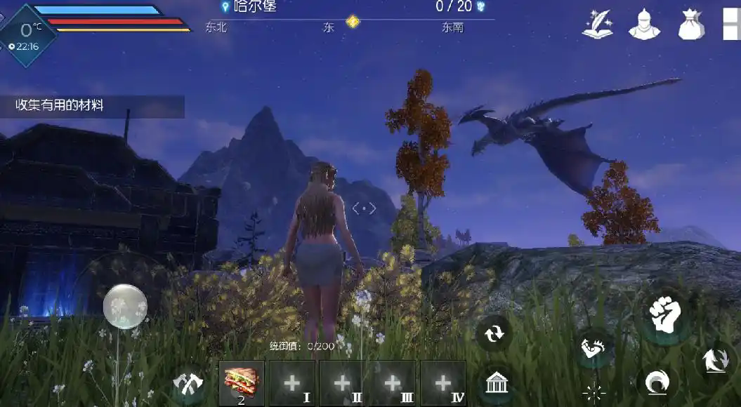 适合黑暗与光明的宠物有哪些