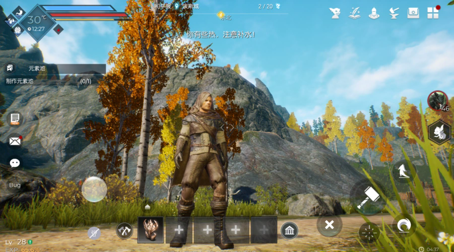 适合黑暗与光明的宠物有哪些