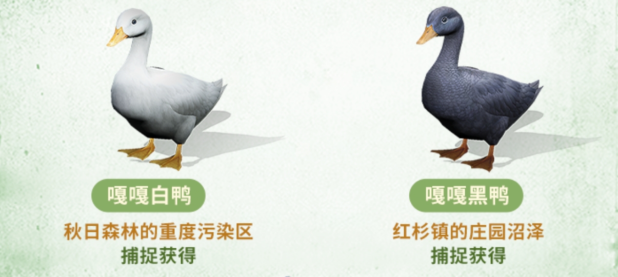 怎样在明日之后中更好地整理和存放物品