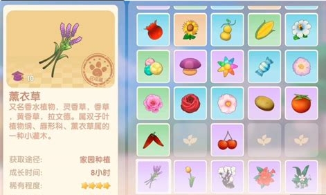 摩尔庄园里的邻居家具是否能共用