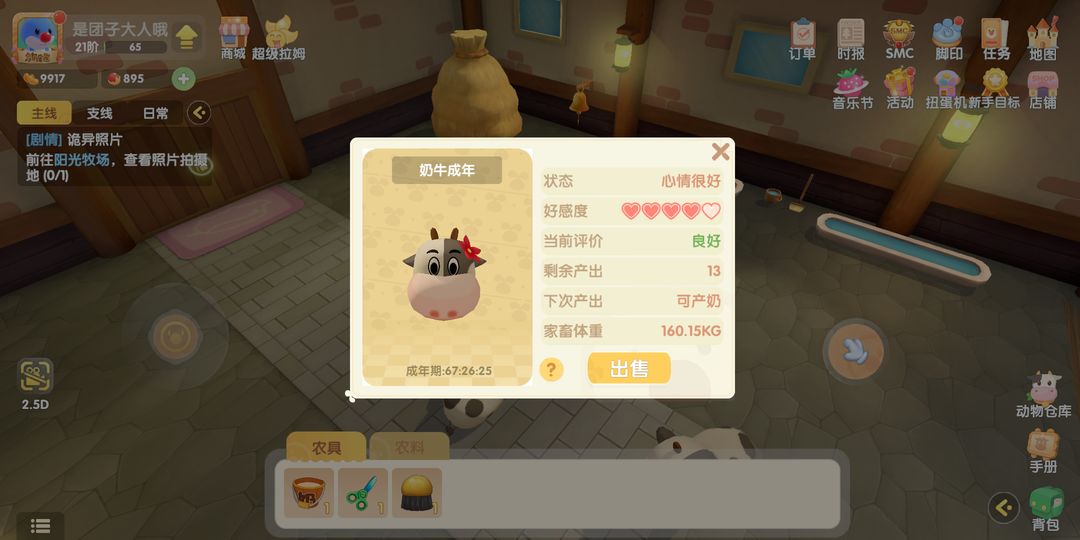 水上铺设摩尔庄园是否需特殊设施